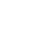 Logo Footer